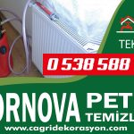 Bornova Petek Temizleme – 0 538 588 14 62
