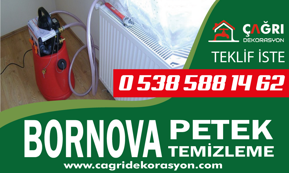 Bornova Petek Temizleme