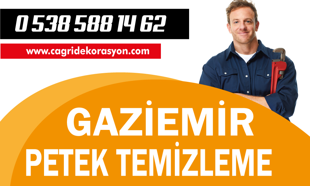 Gaziemir Petek Temizleme