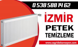 İzmir Petek Temizleme