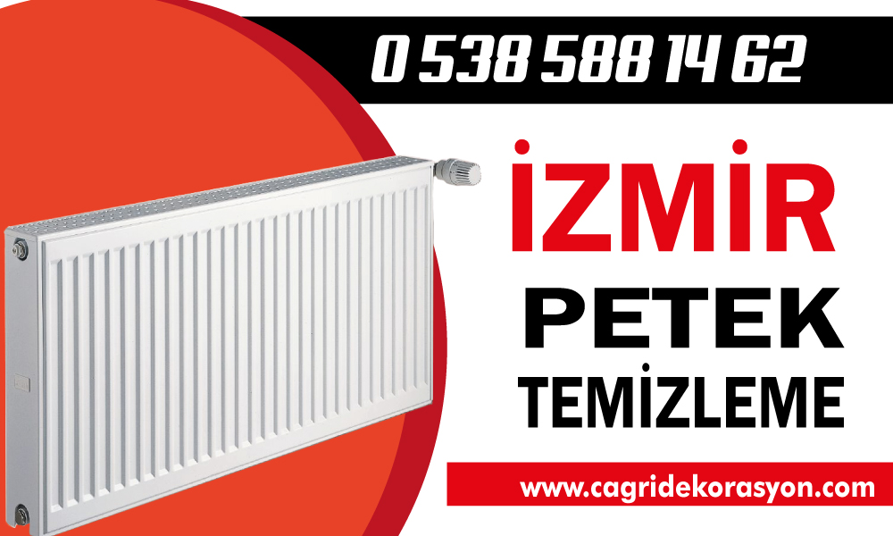 İzmir Petek Temizleme