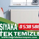 Karşıyaka Petek Temizleme – 0 538 588 14 62