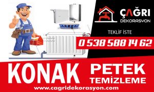 Konak Petek Temizleme